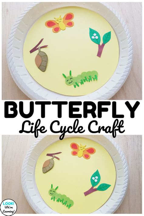 Paper Plate Butterfly Life Cycle Craft For Kids Look Were Learning