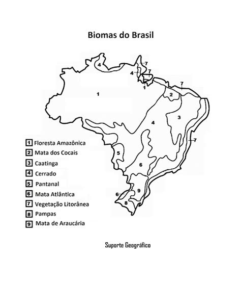 Mapa Biomas Do Brasil Para Colorir Modelo