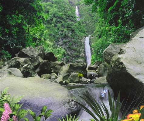 A Waterfall Surrounded By Lush Green Trees And Rocks