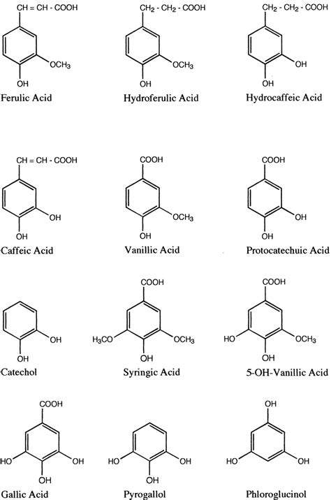 Structures Of Aromatic Compounds Download Scientific Diagram