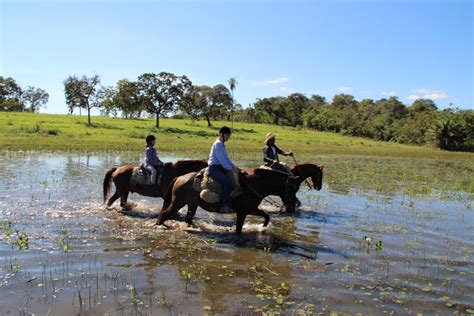 Horse Riding In Brazil For Riders Of All Levels On The Beach Or In The