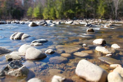 Free Picture River Rocks Shore River Coast River Rocks Trees Summer