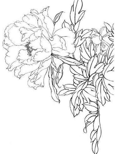 Peony Flower Coloring Page