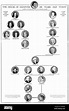 Family tree of the royal House of Hanover, published in The Graphic to ...
