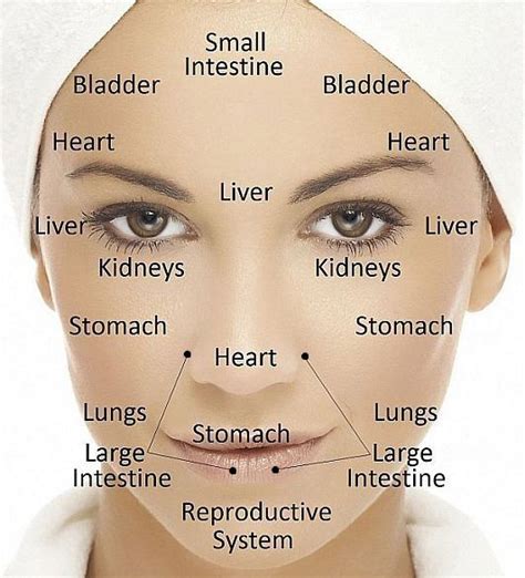 Chinese Face Mapping Chart