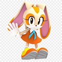 Sonic Advance 2 Sonic The Hedgehog Cream The Rabbit, PNG, 1024x1024px ...