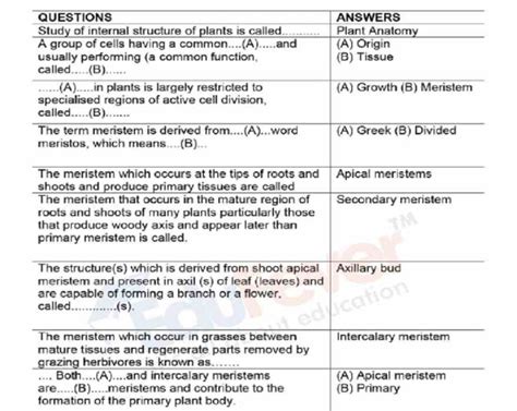 Anatomy Of Flowering Plants Revision Notes For Neet Entrance Exam