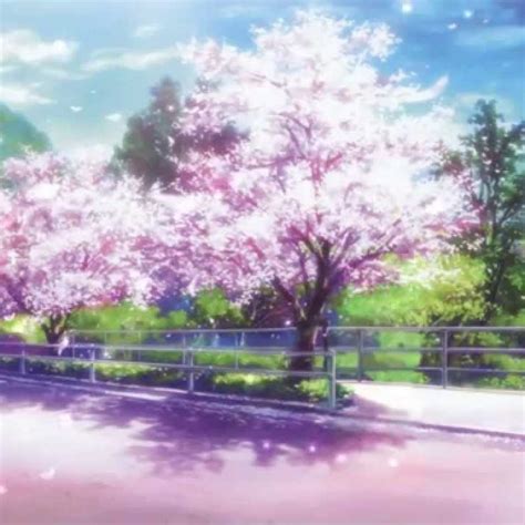 10 Most Popular Anime Cherry Blossom Wallpaper Full Hd 1080p For Pc Background 2020