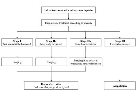 Algorithm For The Management Of Acute Limb Ischemia Download