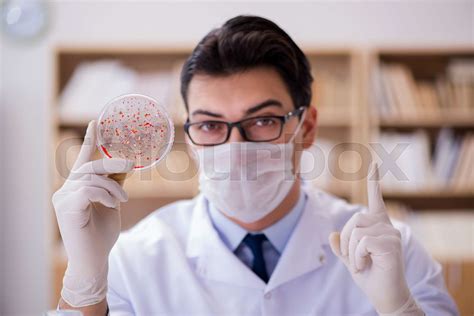 Doctor Studying Virus Bacteria In The Lab Stock Image Colourbox