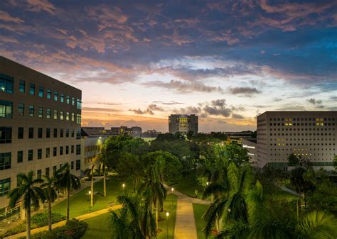 Informações Sobre Florida International University Nos Estados Unidos