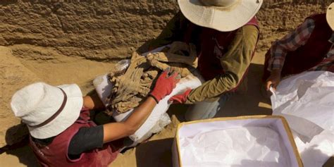 Mumi Remaja Berusia 1 000 Tahun Ditemukan Arkeolog Peru RMOLSUMSEL ID