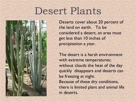 Adaptive Features Of Plants In Desert