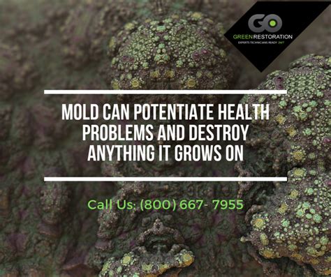 Health Effects Of Mold