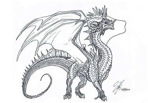 Old Dragon Sketch By Bravebabysitter On Deviantart