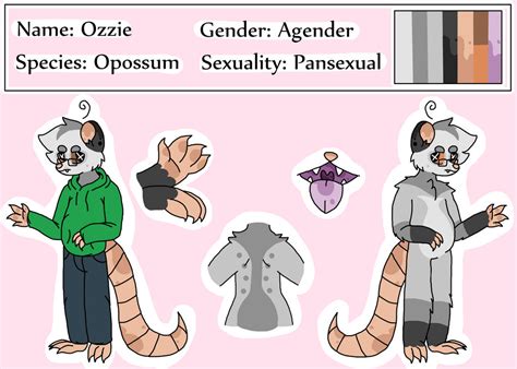 Ozzie Opossum Fursona Ref Sheet By Voreacious Beetle On Deviantart