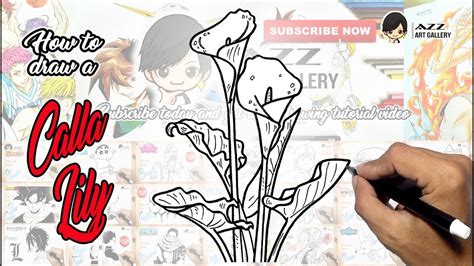 How To Draw A Calla Lily Youtube