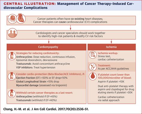 Cardiovascular Complications Of Cancer Therapy Best Practices In