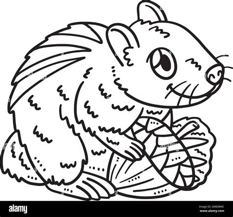 Baby Chipmunk Isolated Coloring Page For Kids Stock Vector Image And Art
