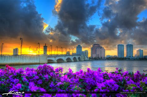 West Palm Beach City Sunset Florida Purple Flowers Hdr Photography By