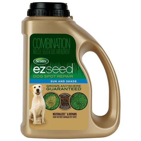Safe Grass Seed For Dogs Uribe Vold