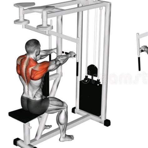 High Cable Rear Delt Fly Bigger Shoulders Fitness Who