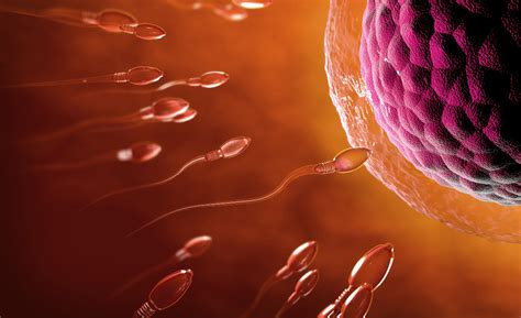 Sperm Blocking Gel Emerges Swimmingly As Potential Birth Control Option