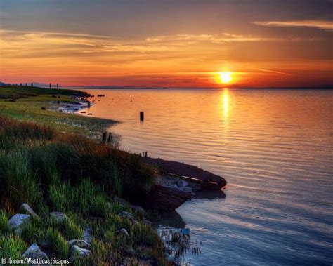 Lakeside Lagoon Lake Beautiful Landscape Photography Sunset Nature Art