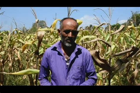 Sri Lanka Farmer Interview Climate Smart Agriculture Flickr