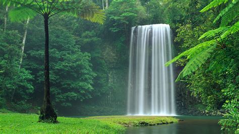 Mystic Forest Waterfall Wallpaper Nature Wallpapers 38404