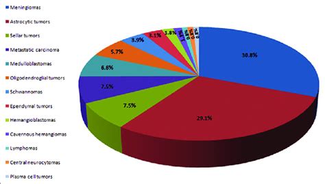 Pie Chart Showing The Incidence Of Various Brain Tumors Download