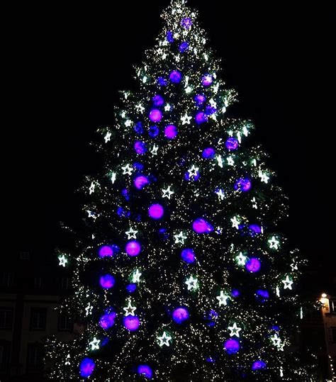 Black Christmas Tree And Purple Lights Black Christmas Trees Christmas