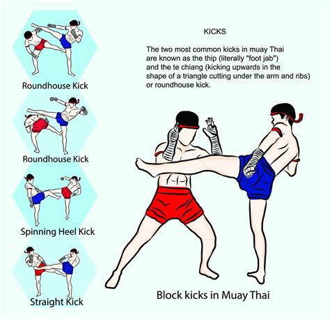 Muay Thai Techniques For Beginners