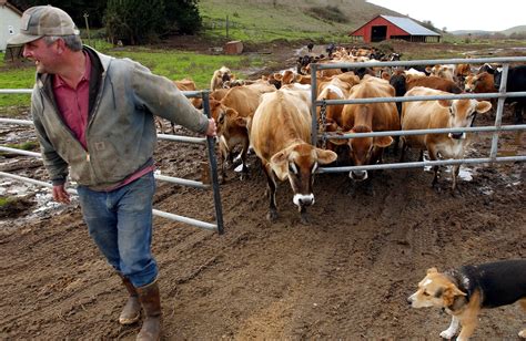 Dairy Farmers And Lumberjacks Make Worst Jobs List Stateimpact Idaho