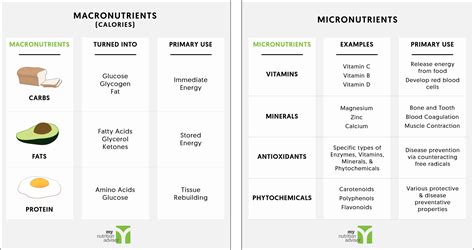 Macronutrients provide energy in the body while micronutrients prevent diseases and support body growth. Ketogenic Diet Overview - A Beginners Guide and Plan | My ...