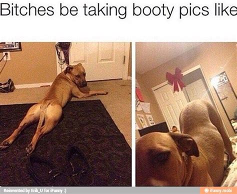 Booty Pics Ifunny Booty Pics Booty Humor Funny Picture Quotes