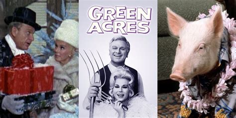 The 10 Best Episodes Of Green Acres Ranked According To Imdb