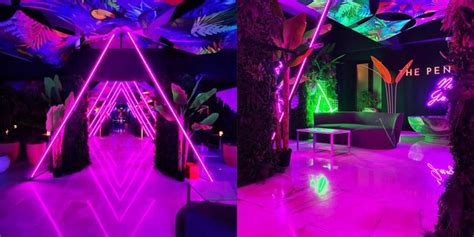 Neon Jungle Visual Architects Neon Jungle Neon Jungle Theme