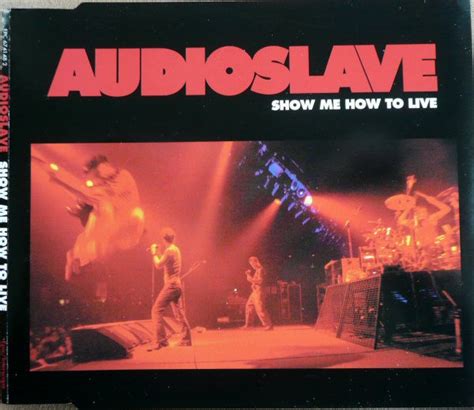Audioslave Show Me How To Live Releases Discogs