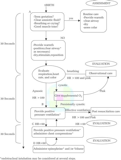 Neonatal Flow Algorithm Neonatal Resuscitation Guidelines