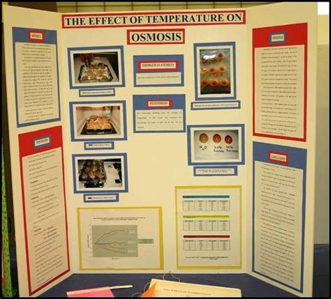 If you reject your hypothesis, make a revised hypothesis. science fair project boards | Example Science Fair ...