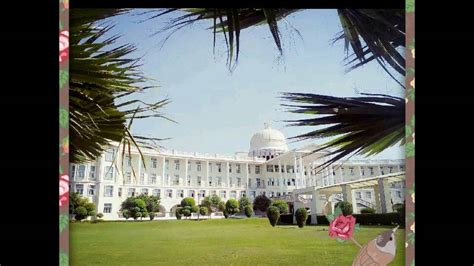 Noida International University Youtube