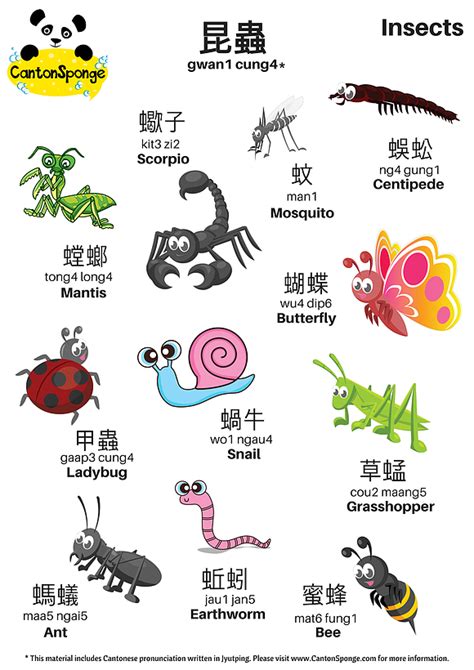 Cantonsponge Cantonese Language Learning Mandarin Chinese Learning