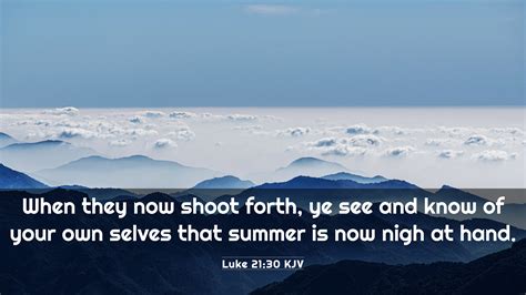 Luke 2130 Kjv 4k Wallpaper When They Now Shoot Forth Ye See And Know Of