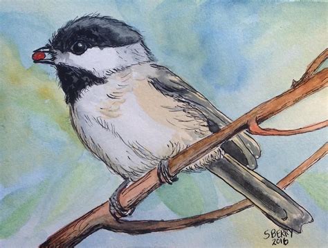 Sarah Berry On Instagram Chickadee Watercolor And India Ink Inspired