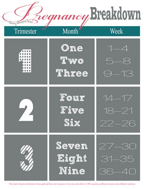 Pregnancy Trimesters Weeks Chart Calendar Template 2023