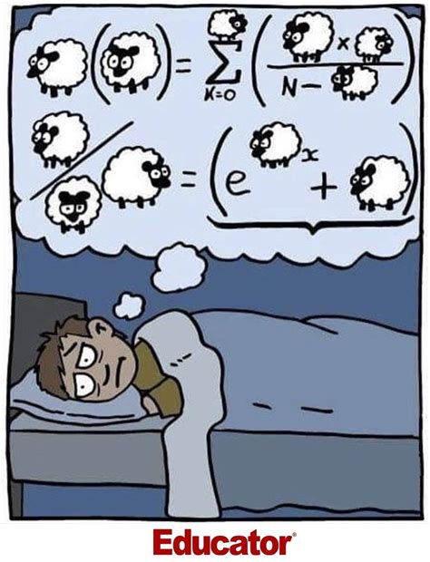 How I Count Sheep Before Sleep 🤣🤣🤣 Educator Teachers Math Humor Nerd Jokes Funny
