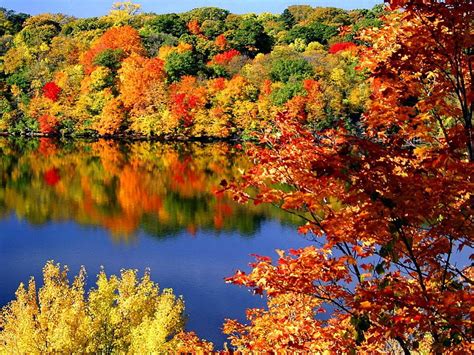 Autumn Colors Fall Colorful Autumn Shore Falling Bonito Foliage