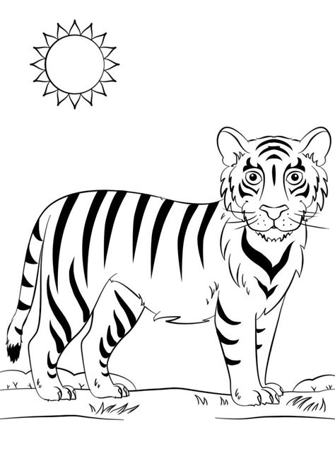 Coloriages Bébé Tigre Se Promène Au Soleil Coloriages Tigre