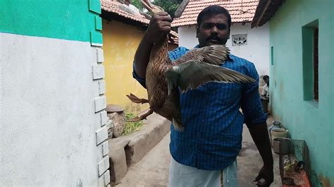 Vaathu Kari Kulambu In Tamil Duck Gravy வாத்து கறி குழம்பு